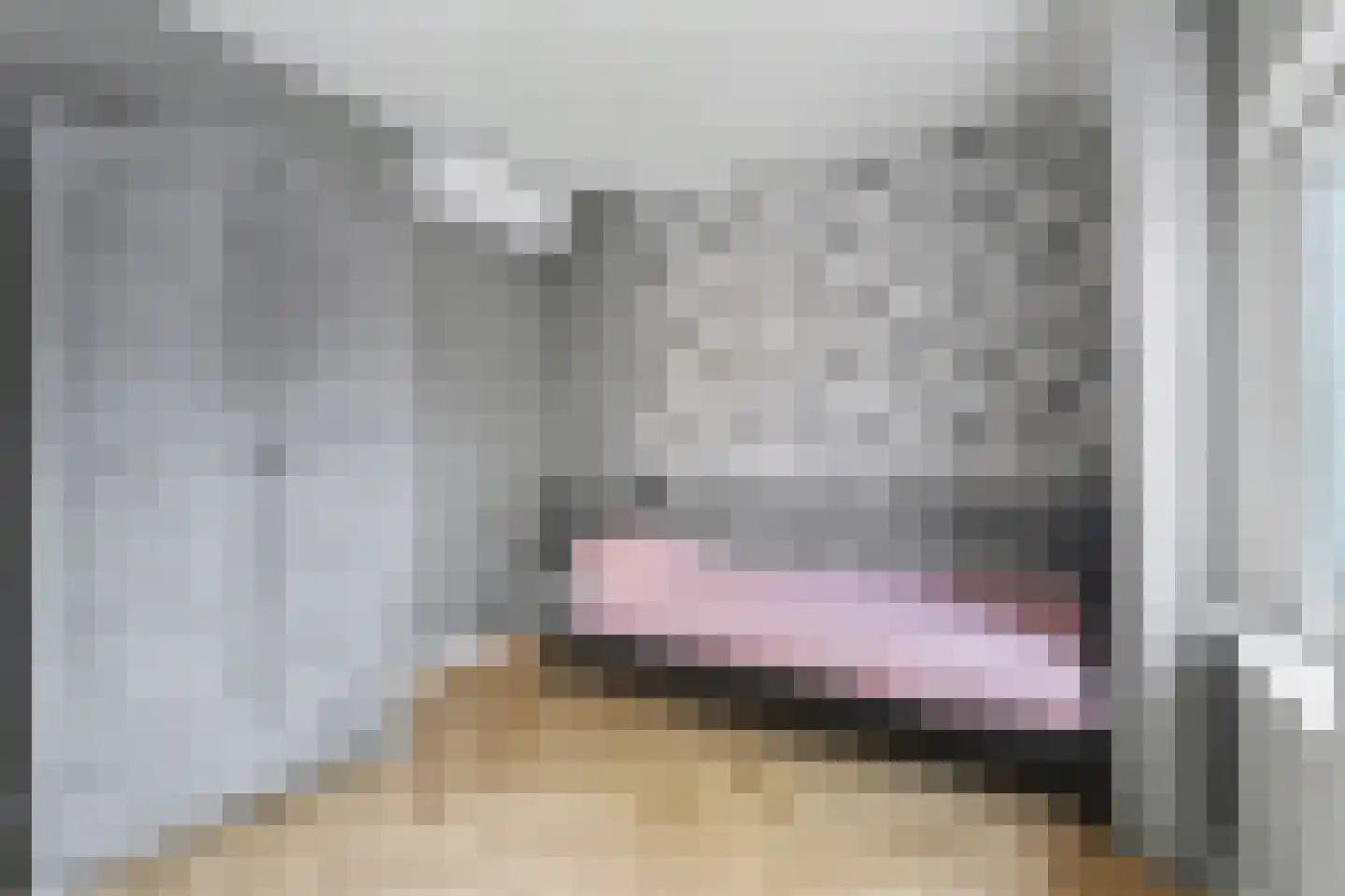 Molenstraat 25 Reusel thumbnail 38