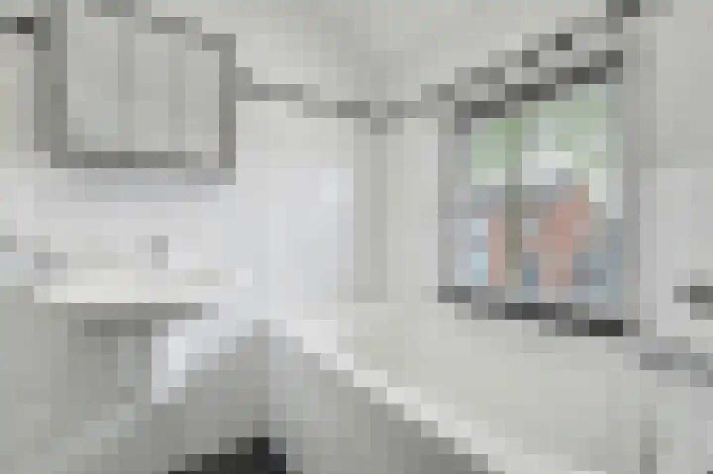 Molenstraat 25 Reusel thumbnail 42