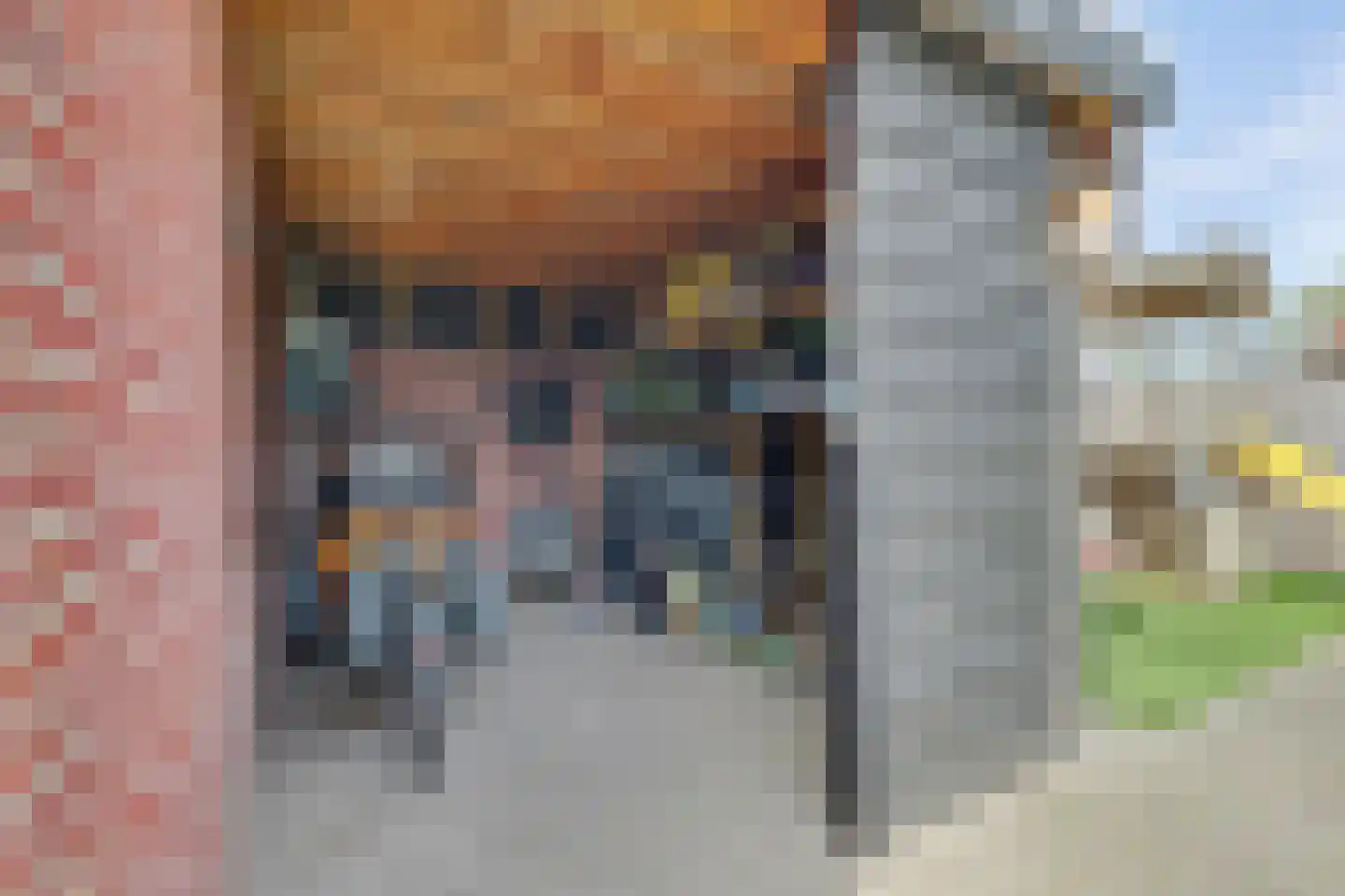 Molenstraat 25 Reusel thumbnail 54