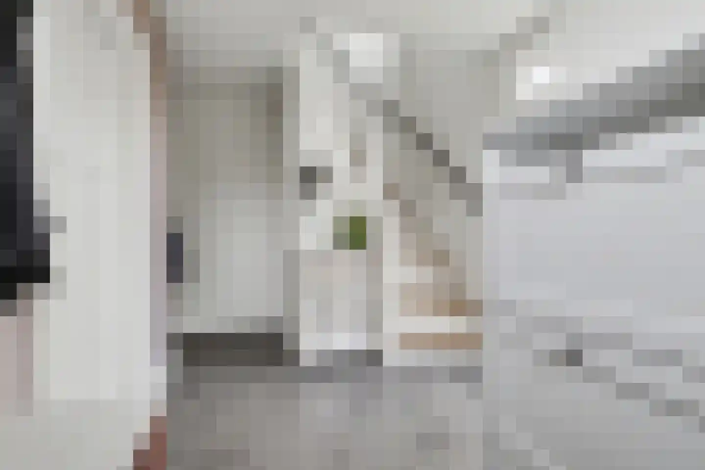 Molenstraat 25 Reusel thumbnail 7