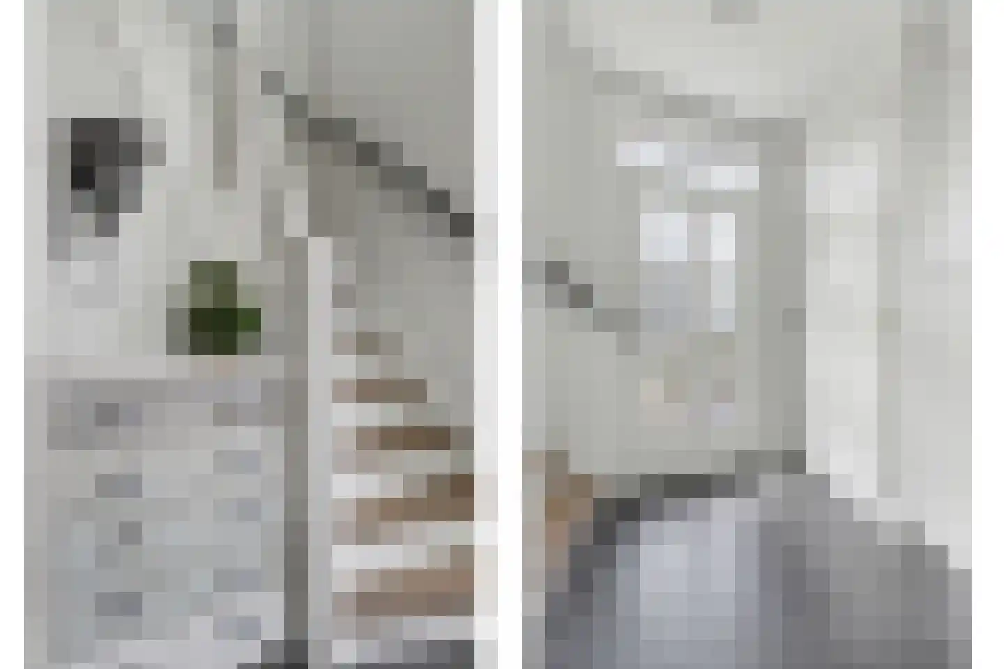 Molenstraat 25 Reusel thumbnail 9