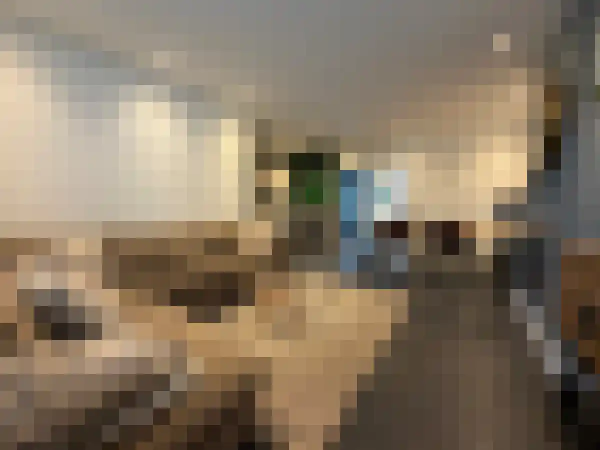 Molenstraat 25 Schijndel thumbnail 5