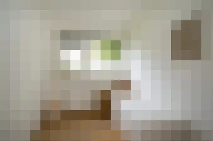 Molenstraat 257 Assen thumbnail 19
