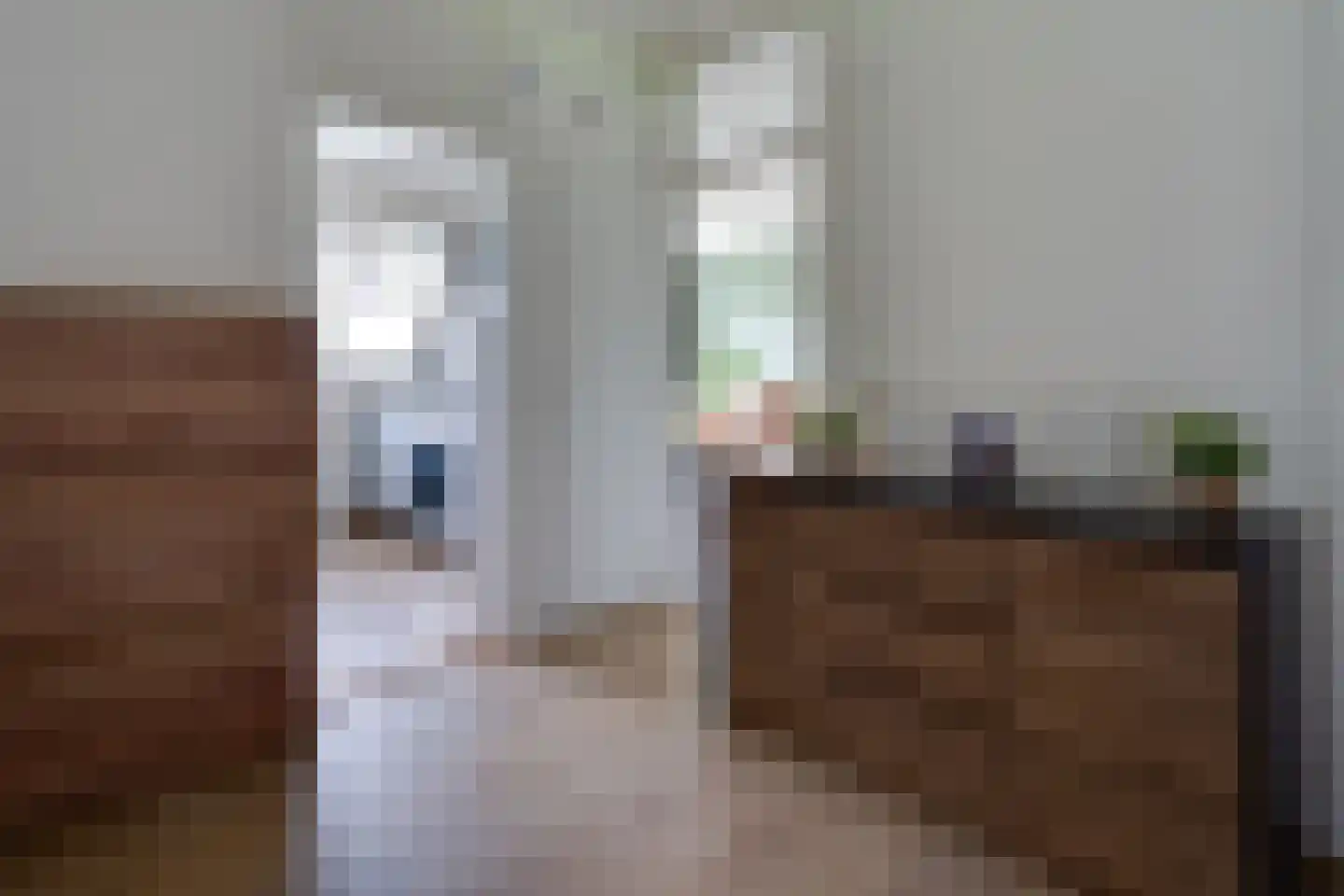 Molenstraat 257 Assen thumbnail 19