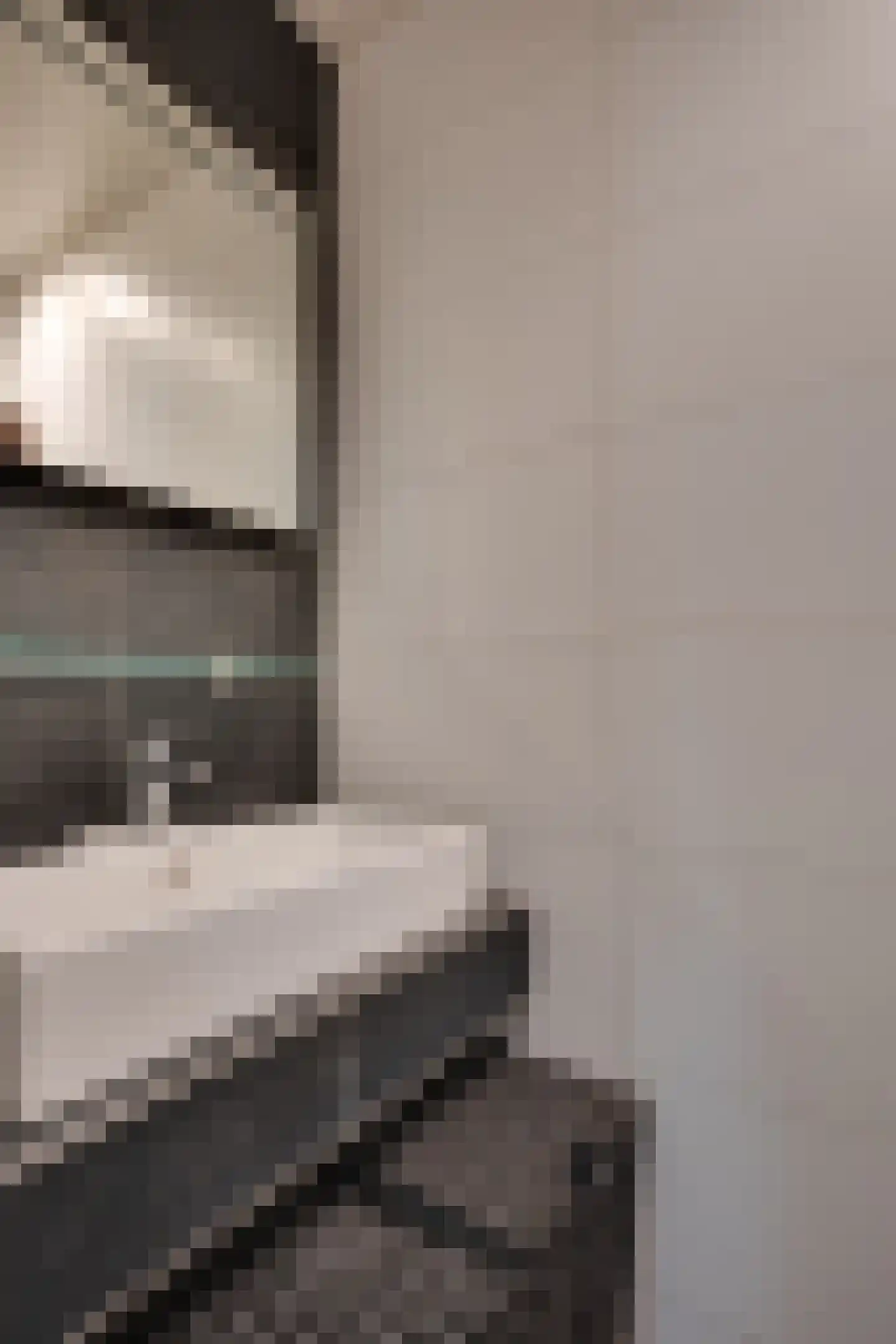 Molenstraat 257 Assen thumbnail 21