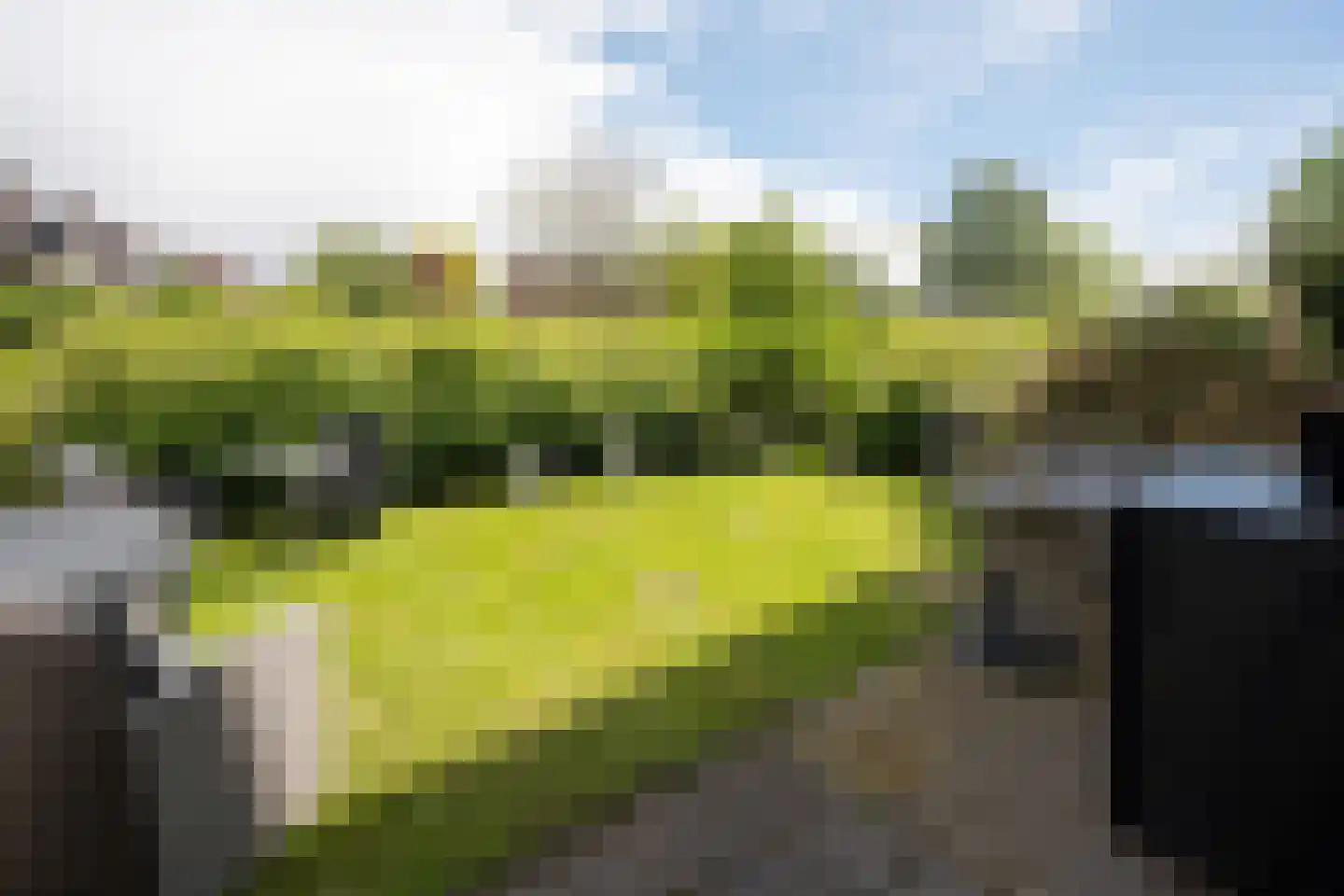Molenstraat 257 Assen thumbnail 24