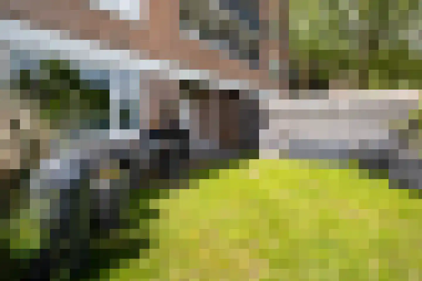 Molenstraat 257 Assen thumbnail 25