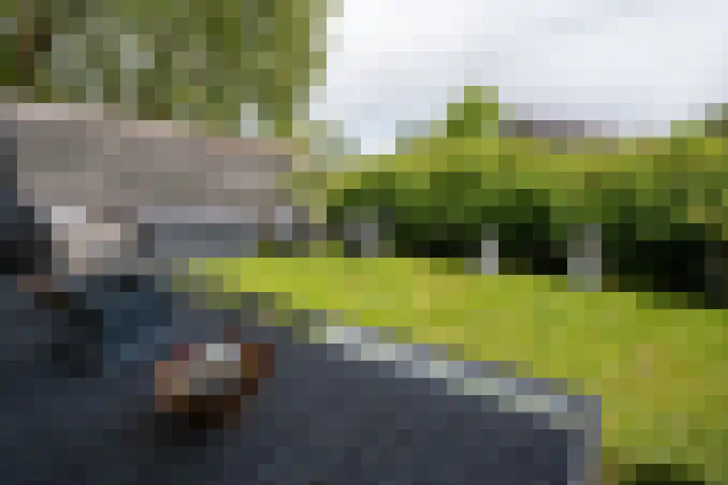 Molenstraat 257 Assen thumbnail 26