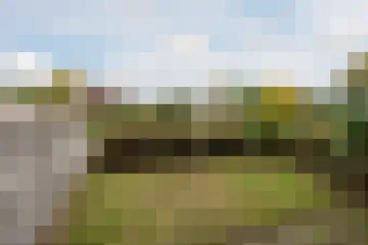 Molenstraat 257 Assen thumbnail 28