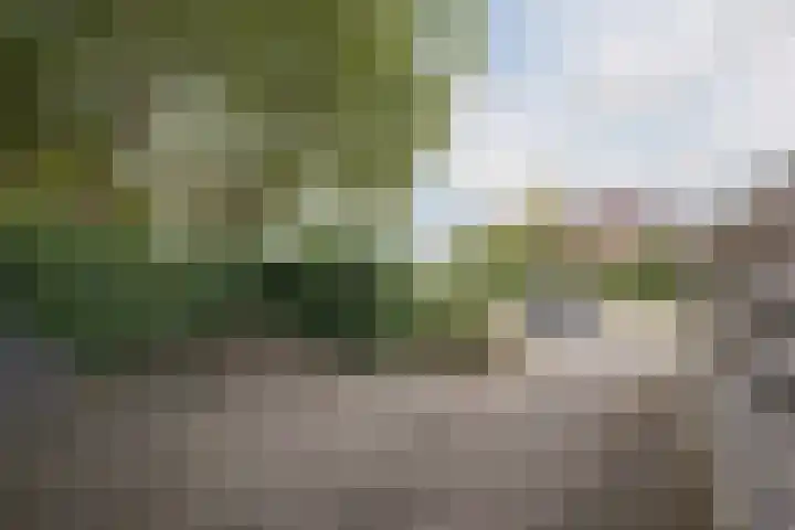 Molenstraat 257 Assen thumbnail 29