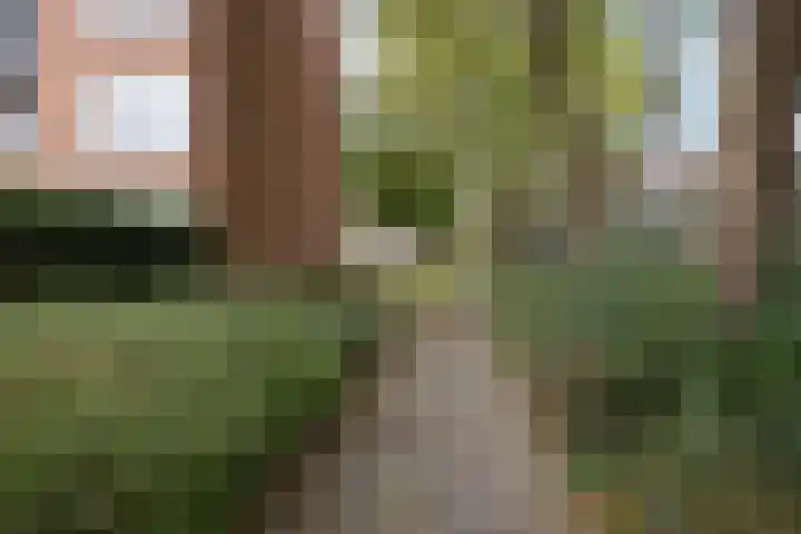 Molenstraat 257 Assen thumbnail 30