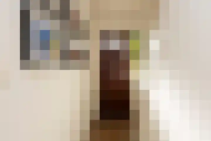 Molenstraat 26 Berkel-Enschot thumbnail 7