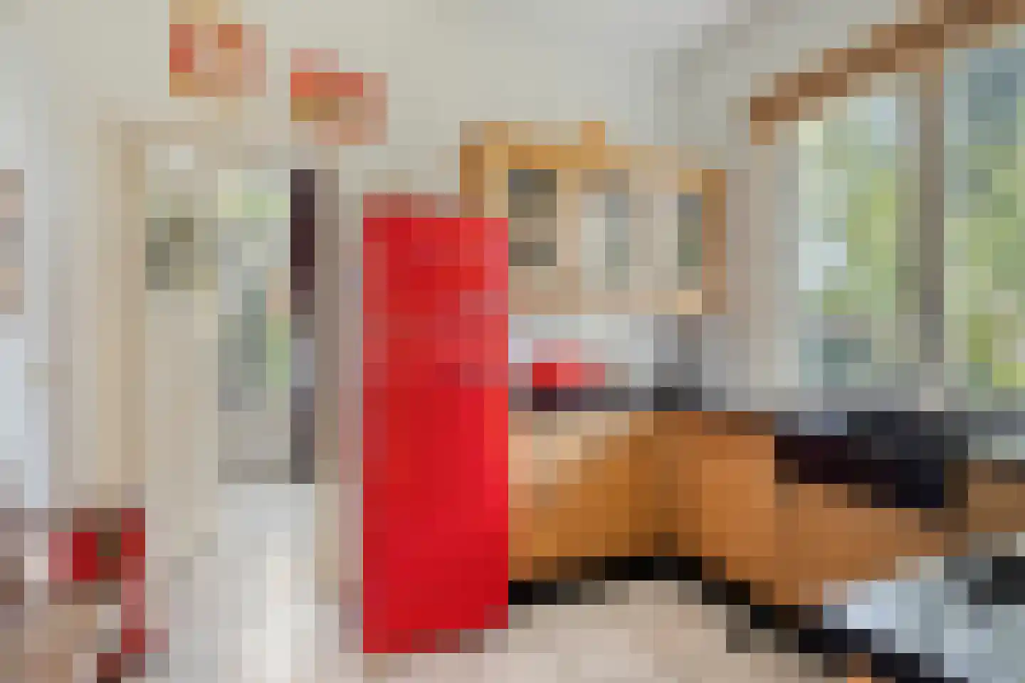 Molenstraat 26 Hurwenen thumbnail 13