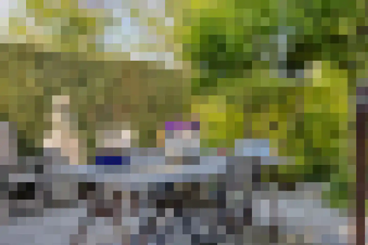 Molenstraat 26 Hurwenen thumbnail 34