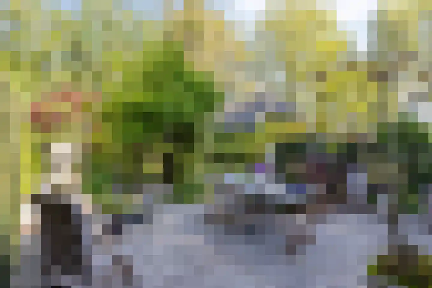 Molenstraat 26 Hurwenen thumbnail 35