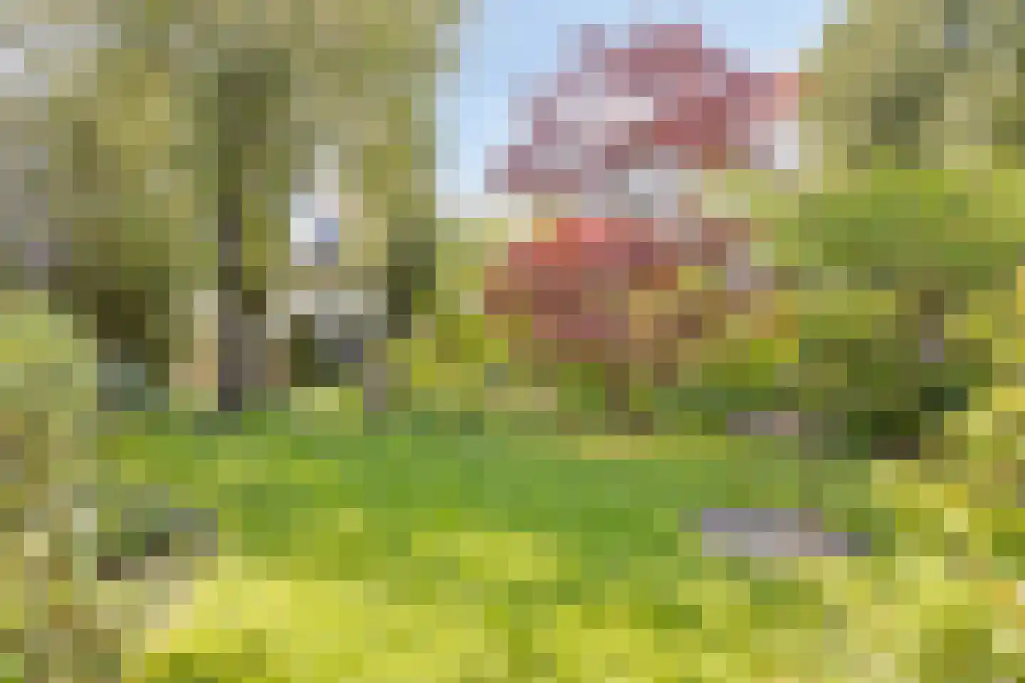 Molenstraat 26 Hurwenen thumbnail 36