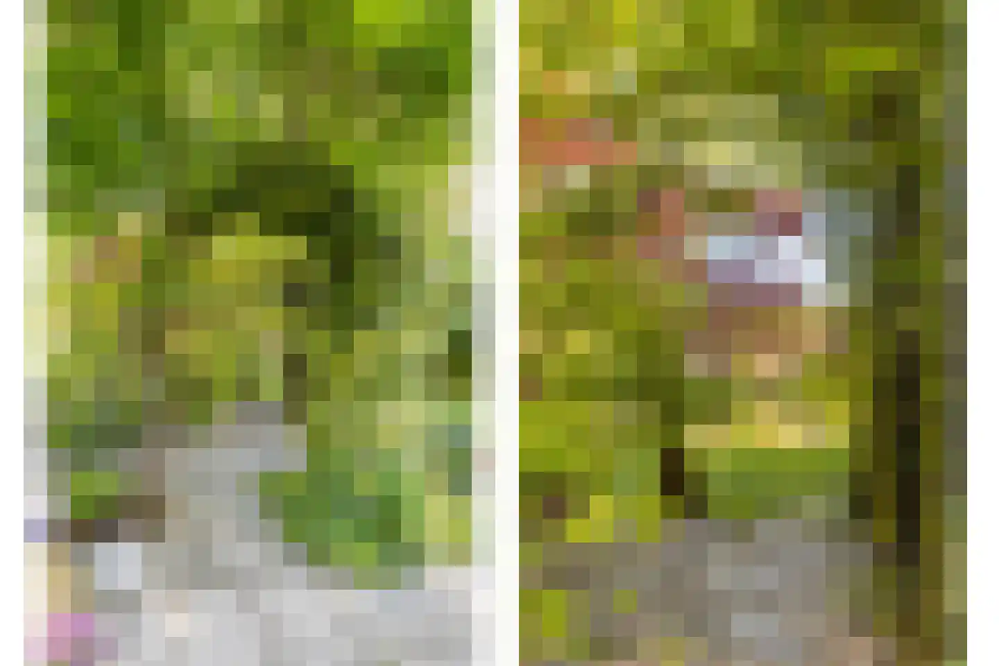 Molenstraat 26 Hurwenen thumbnail 37