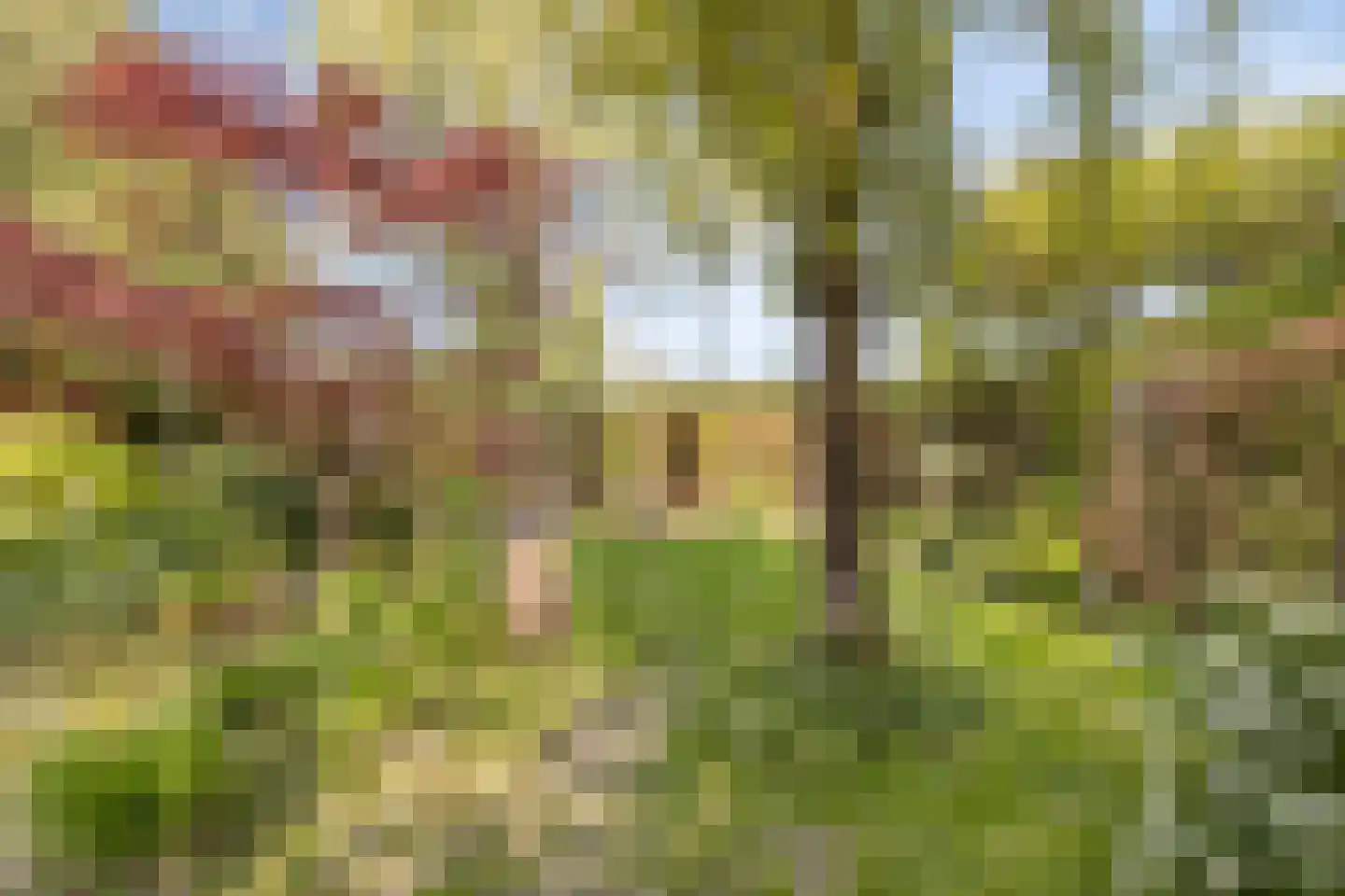 Molenstraat 26 Hurwenen thumbnail 38