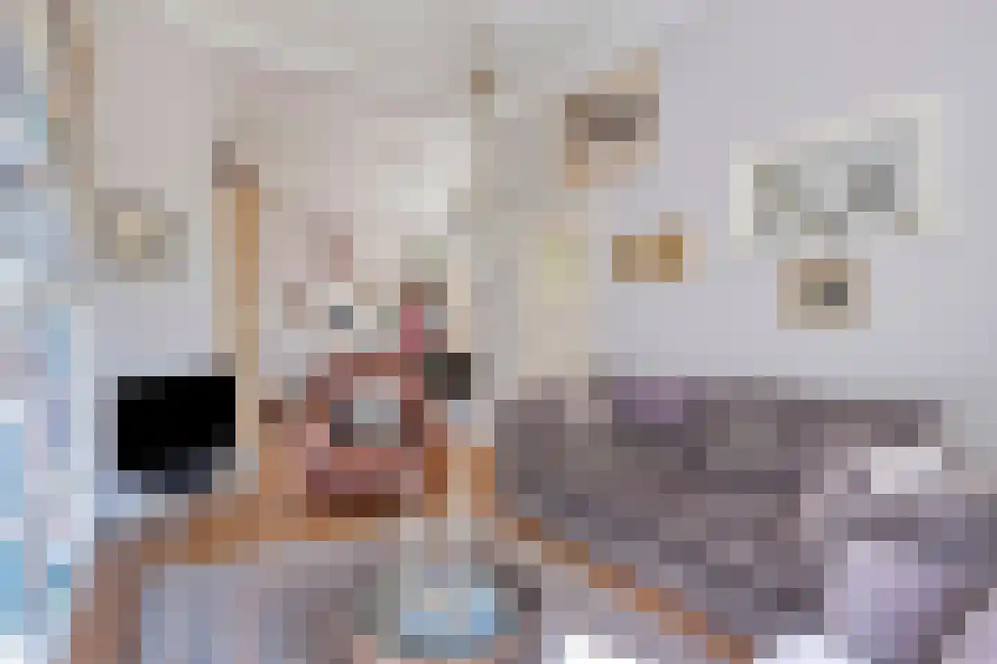 Molenstraat 26 Hurwenen thumbnail 4