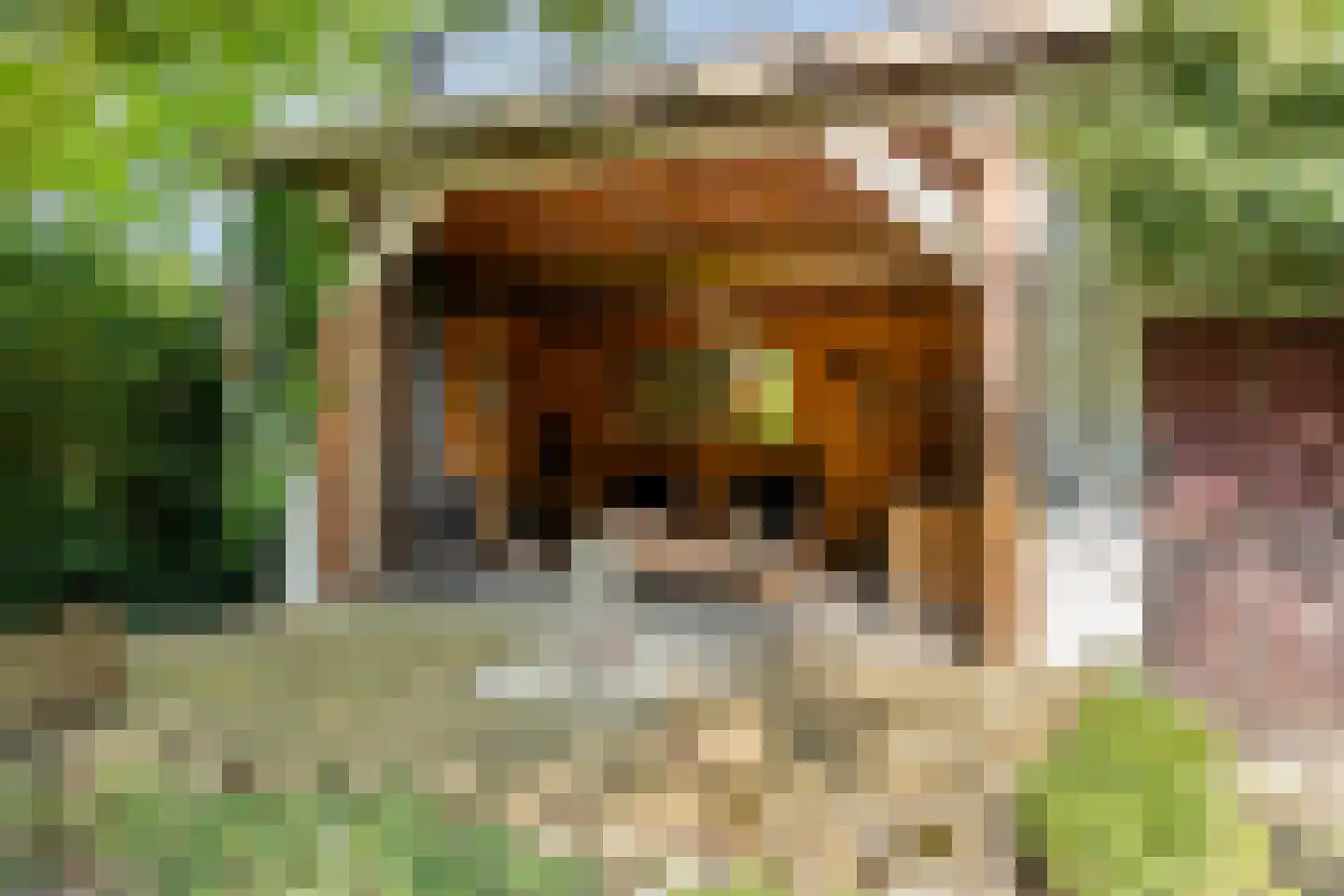 Molenstraat 26 Hurwenen thumbnail 42