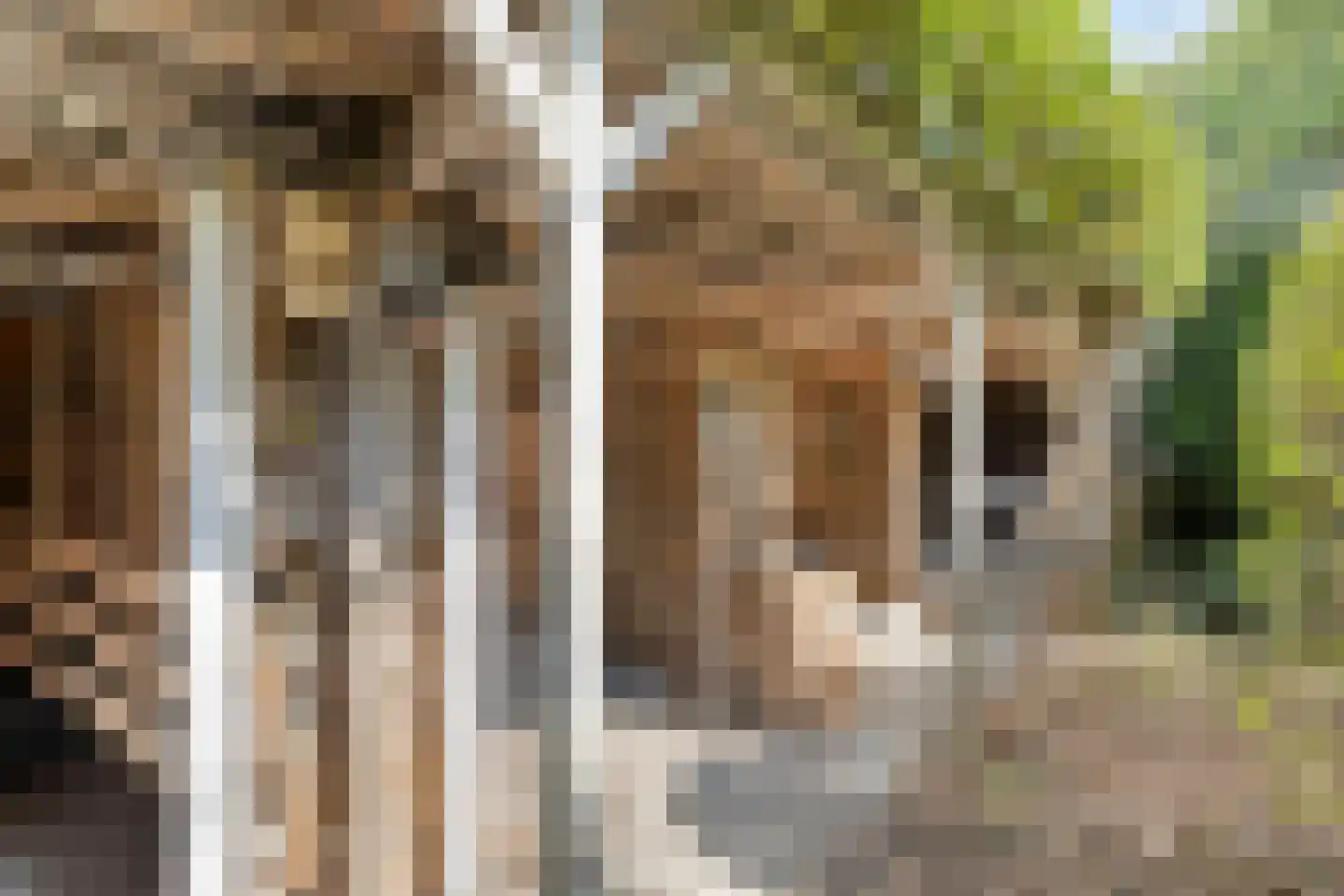 Molenstraat 26 Hurwenen thumbnail 46