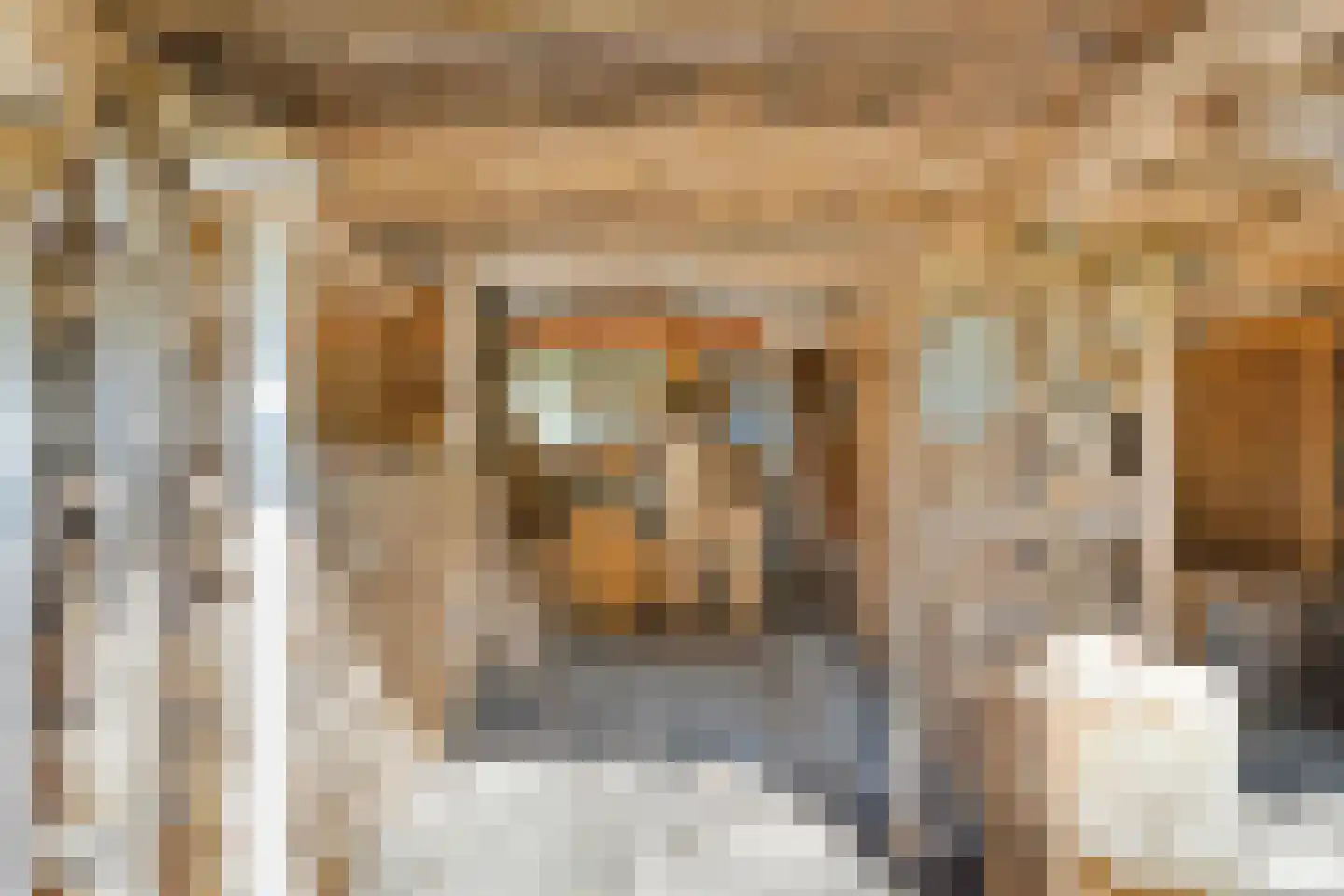 Molenstraat 26 Hurwenen thumbnail 47