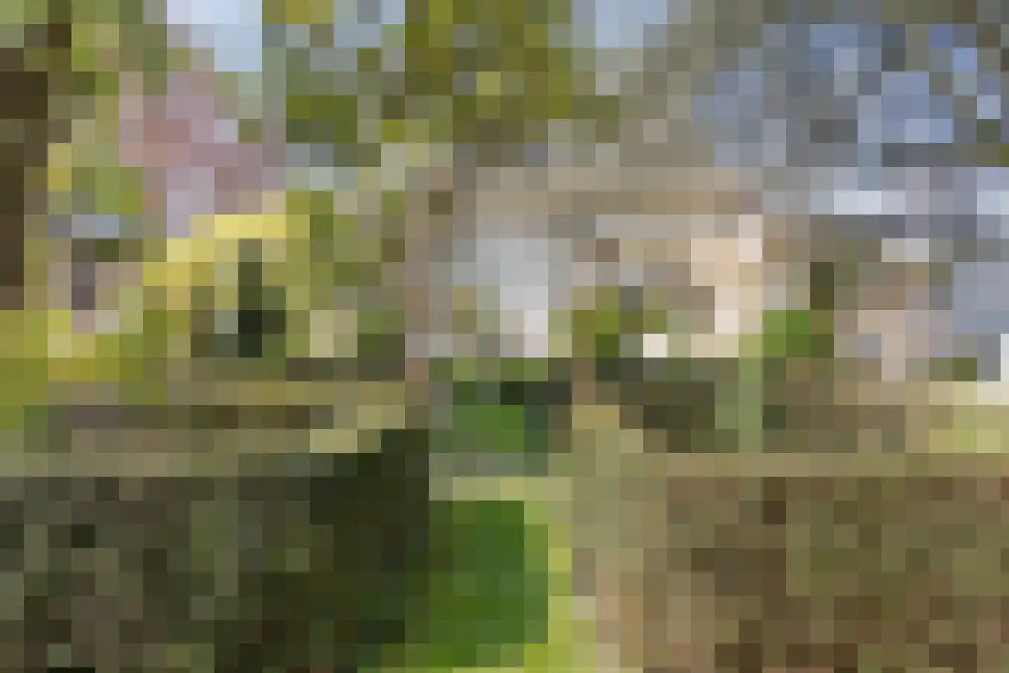 Molenstraat 26 Hurwenen thumbnail 49
