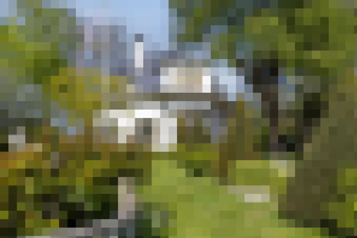 Molenstraat 26 Hurwenen thumbnail 50