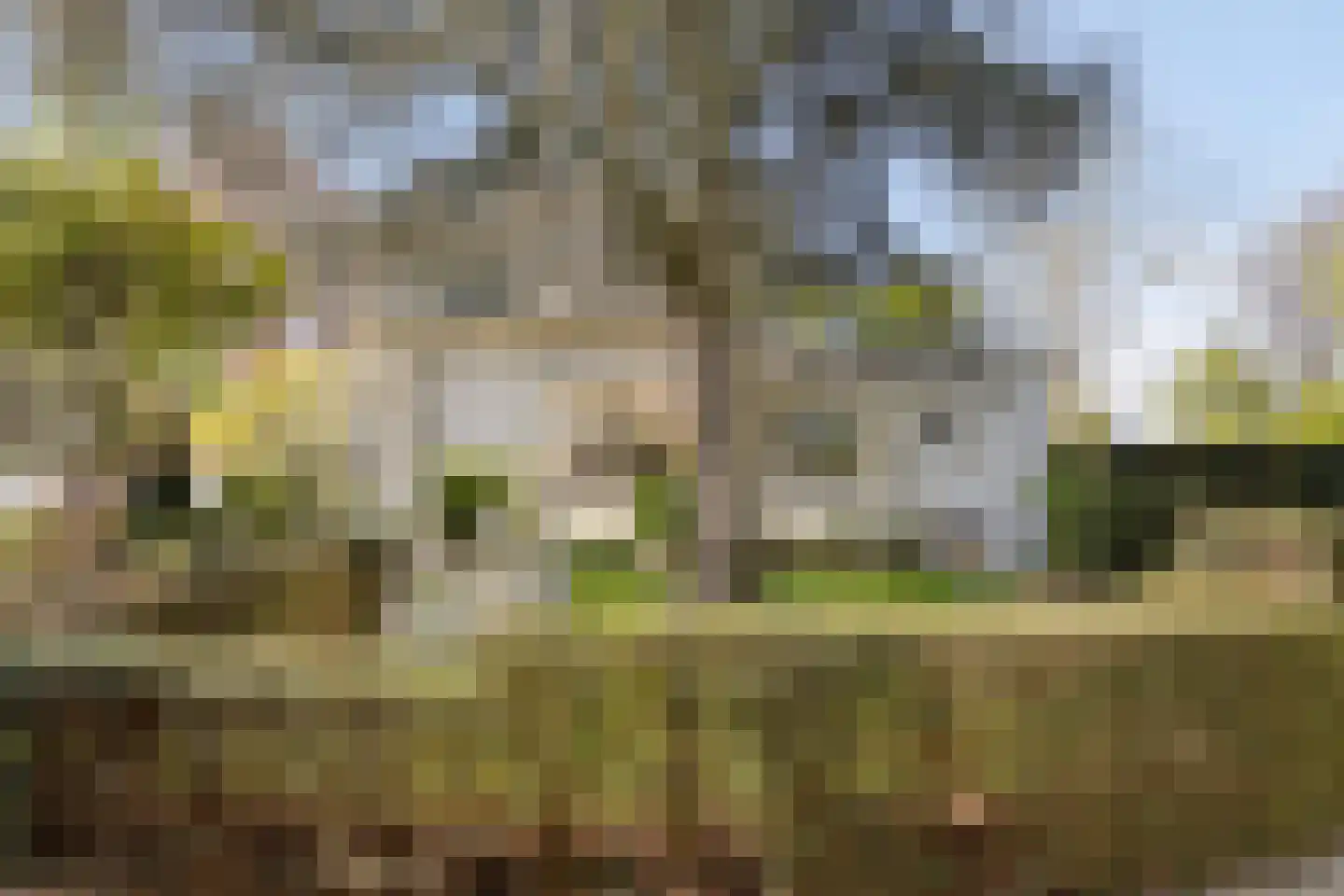 Molenstraat 26 Hurwenen thumbnail 55