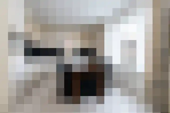 Molenstraat 26 Kerkdriel thumbnail 12