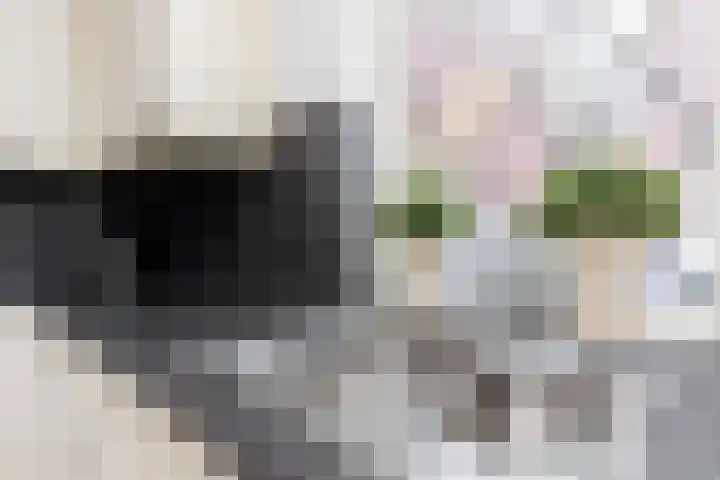 Molenstraat 26 Kerkdriel thumbnail 15