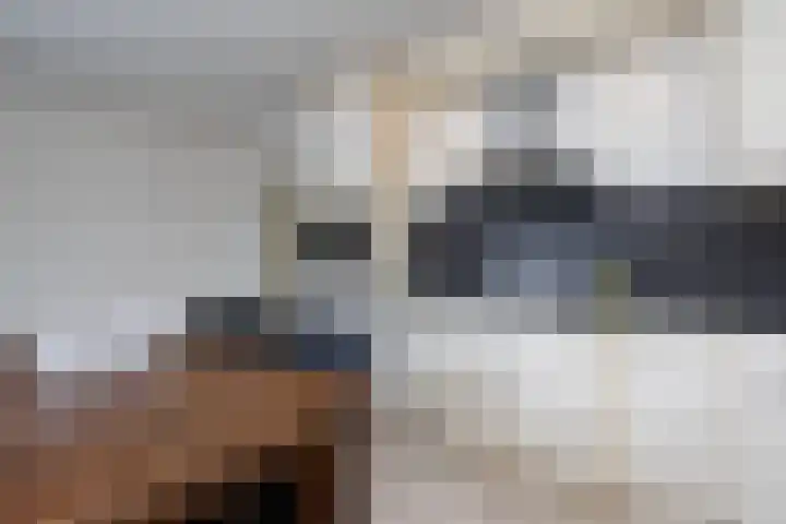 Molenstraat 26 Kerkdriel thumbnail 16