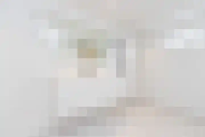 Molenstraat 26 Kerkdriel thumbnail 39