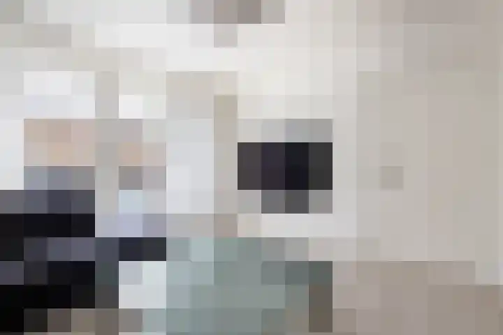 Molenstraat 26 Kerkdriel thumbnail 6