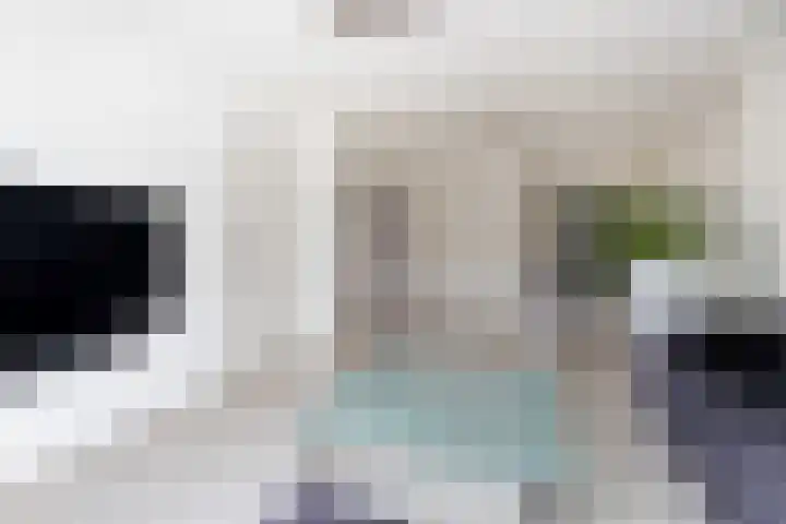 Molenstraat 26 Kerkdriel thumbnail 7