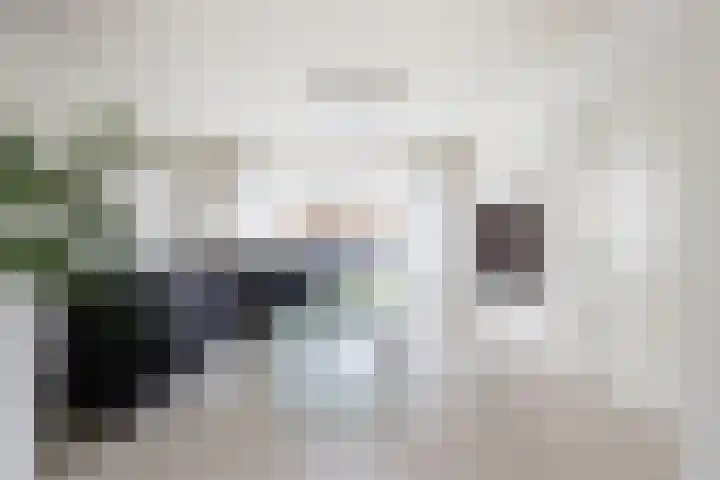 Molenstraat 26 Kerkdriel thumbnail 8
