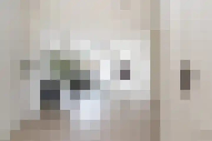 Molenstraat 26 Kerkdriel thumbnail 9