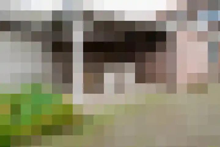 Molenstraat 26 Vriezenveen thumbnail 31
