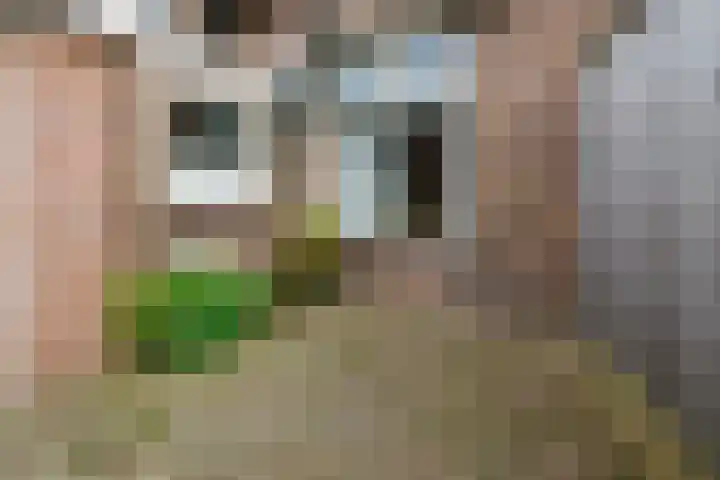 Molenstraat 26 Vriezenveen thumbnail 33
