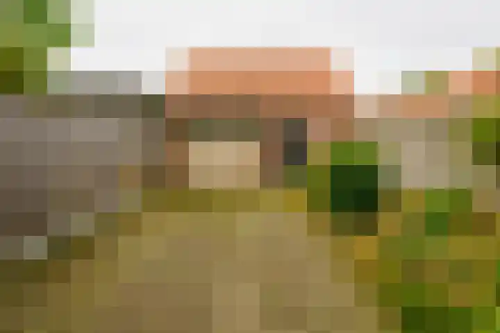 Molenstraat 26 Vriezenveen thumbnail 35