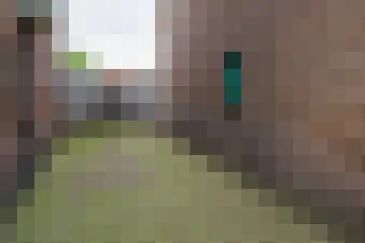 Molenstraat 26 Vriezenveen thumbnail 36
