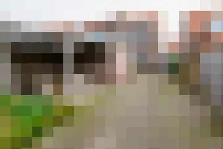 Molenstraat 26 Vriezenveen thumbnail 6