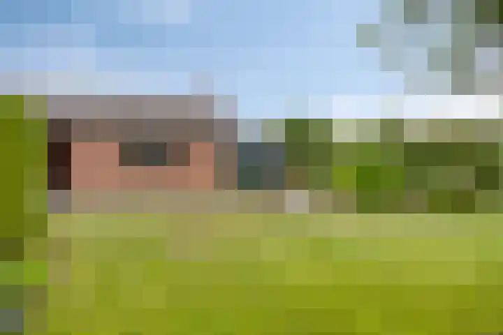 Molenstraat 27 Beugen thumbnail 18