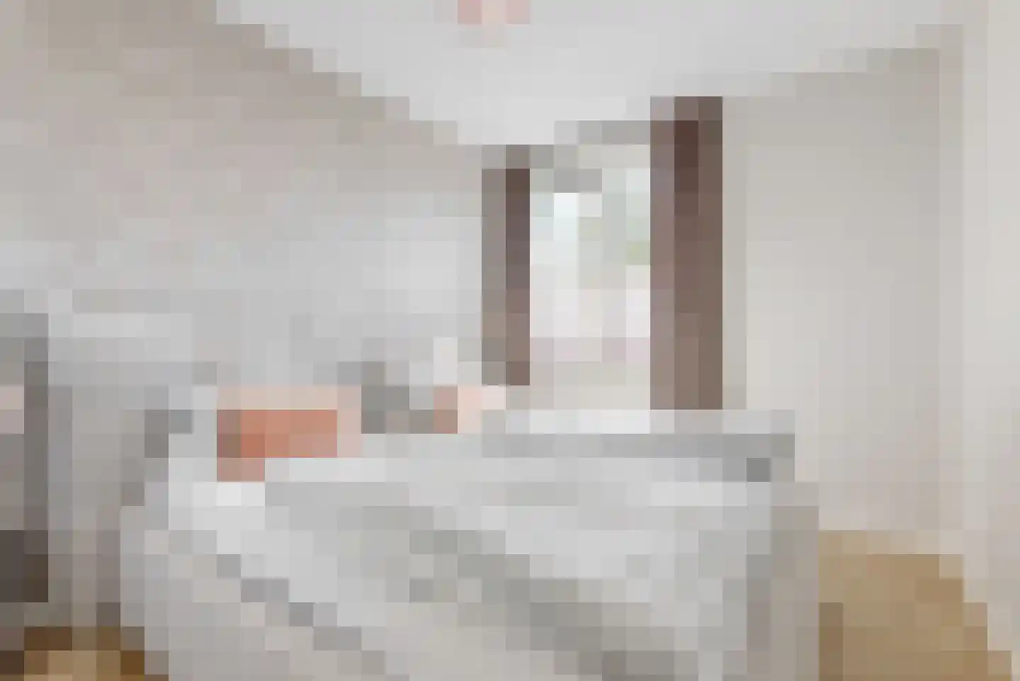 Molenstraat 27 E Zwammerdam thumbnail 14