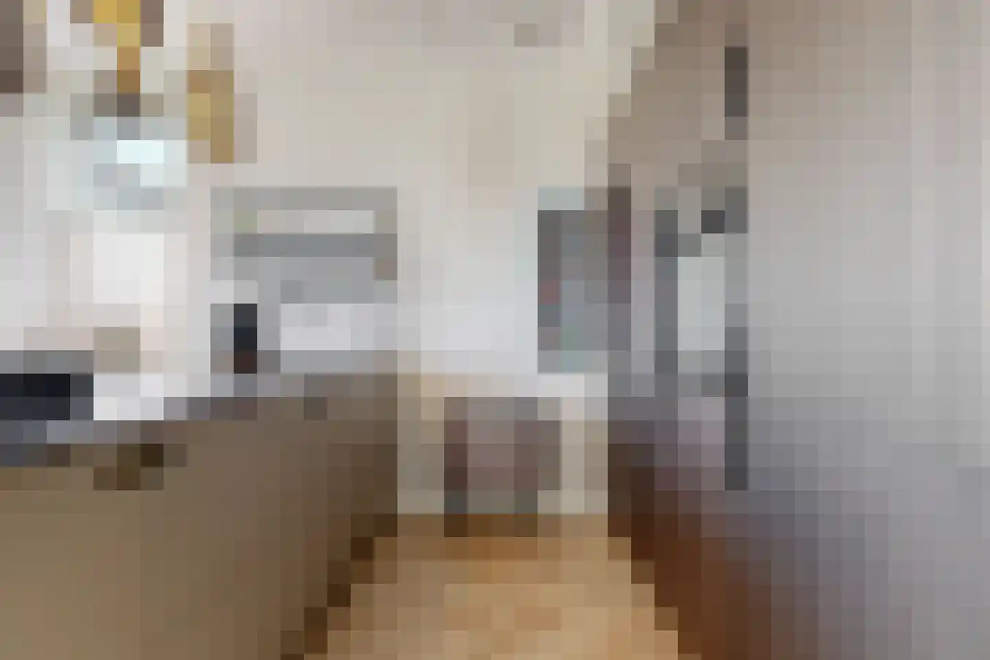 Molenstraat 27 E Zwammerdam thumbnail 7