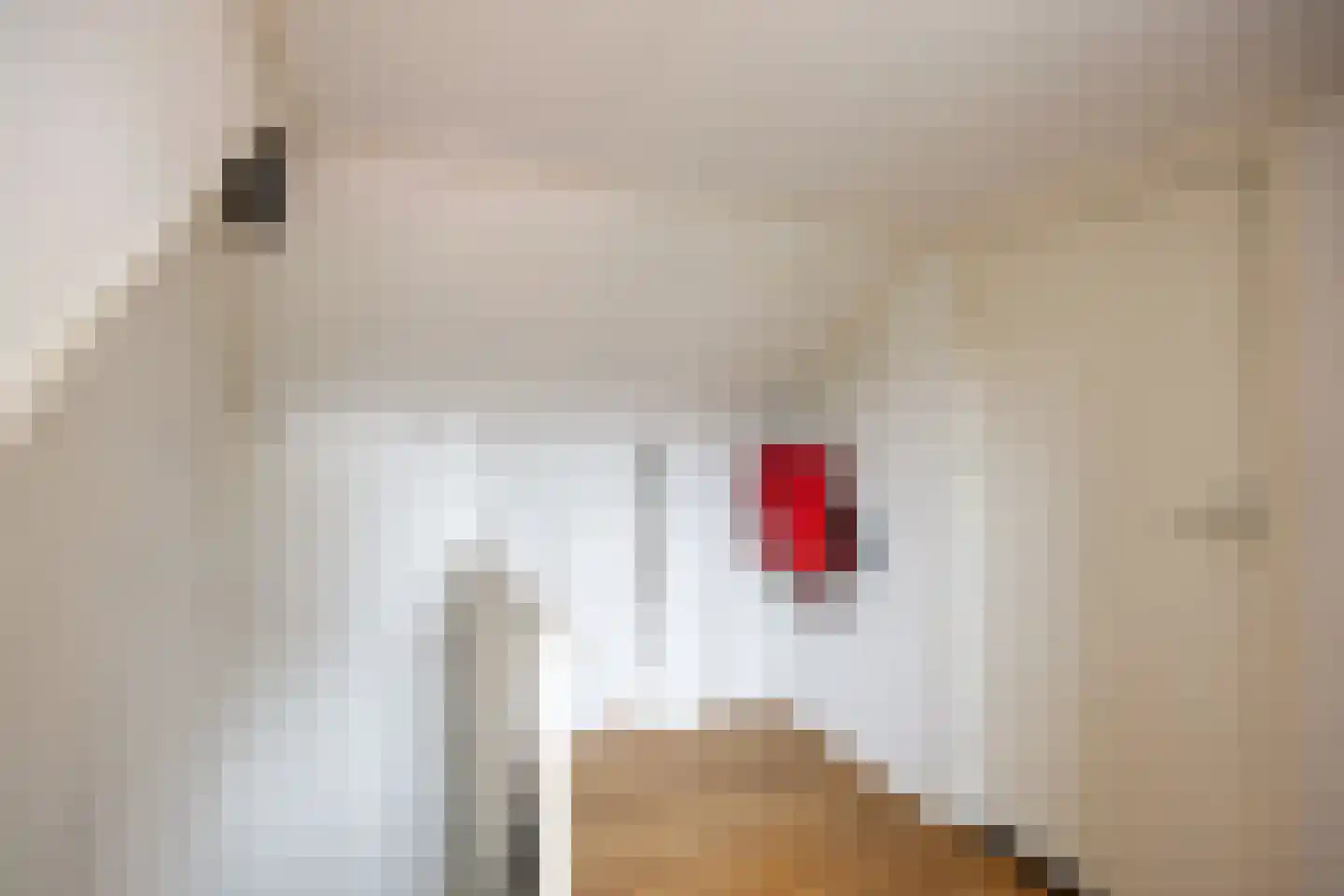 Molenstraat 27 Marum thumbnail 48
