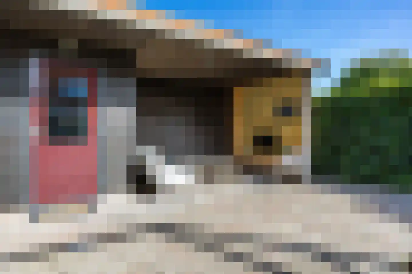 Molenstraat 27 Marum thumbnail 56