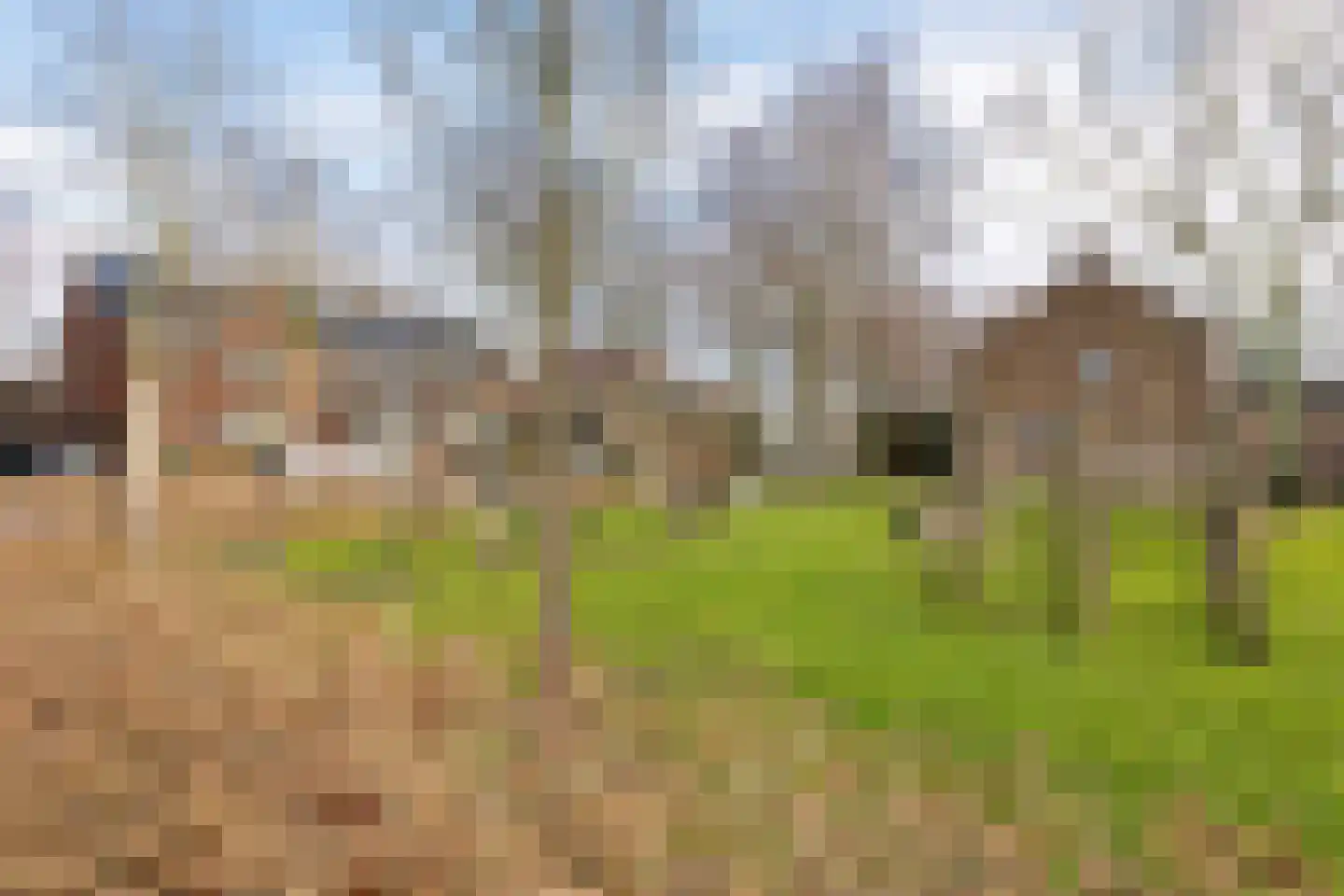 Molenstraat 27 Sassenheim thumbnail 26