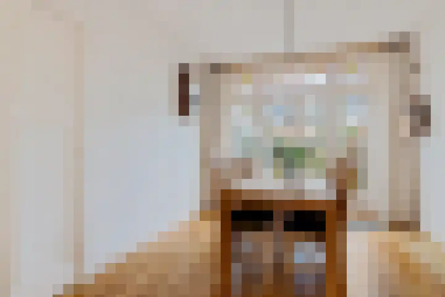 Molenstraat 27 Sassenheim thumbnail 7