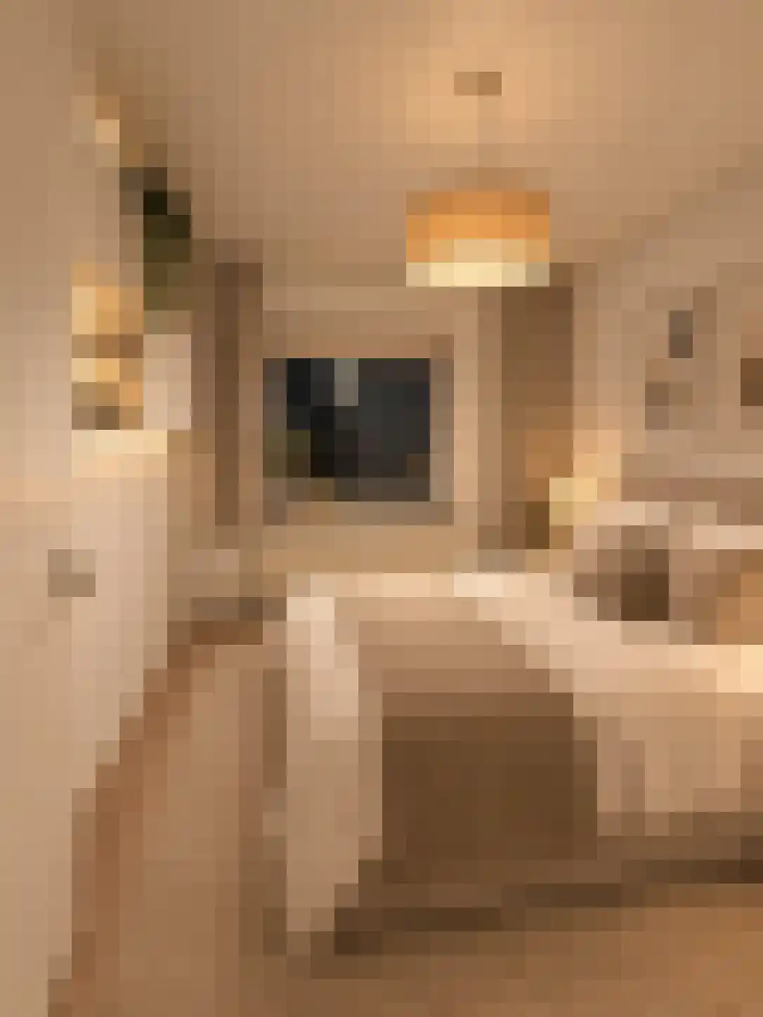 Molenstraat 27 Tilburg thumbnail 4